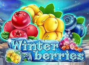 Winter Berries